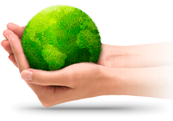 planta